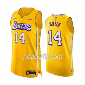 NBA Mænd Trøje Los Angeles Lakers Danny Green 14 Nike 2019-20 City Edition Swingman